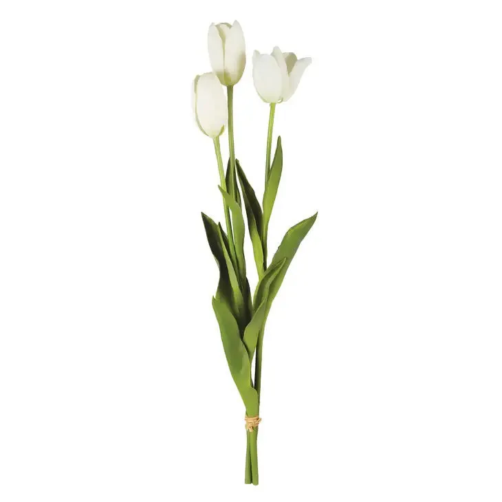 BUNDLE OF FRENCH WHITE TULIPS