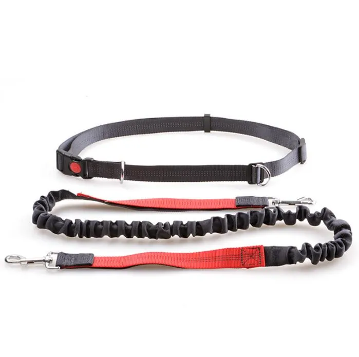 Hands-Free Premium Dog Running Leash with Adjustable Waist Belt