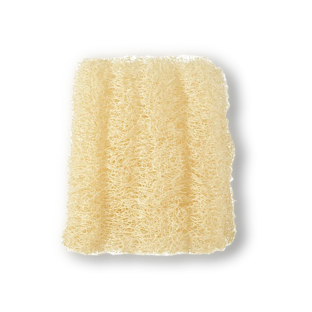 Natural Loofah Sponge